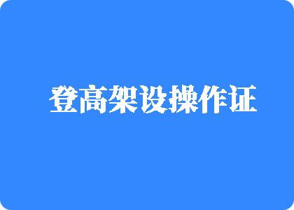 骚逼鸡巴污淫荡逼视频登高架设操作证